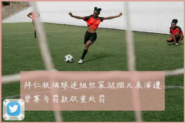 拜仁极端球迷组织策划烟火表演遭禁赛与罚款双重处罚