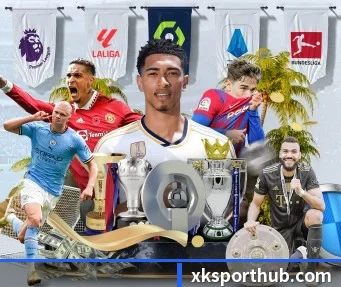 星空体育 APP